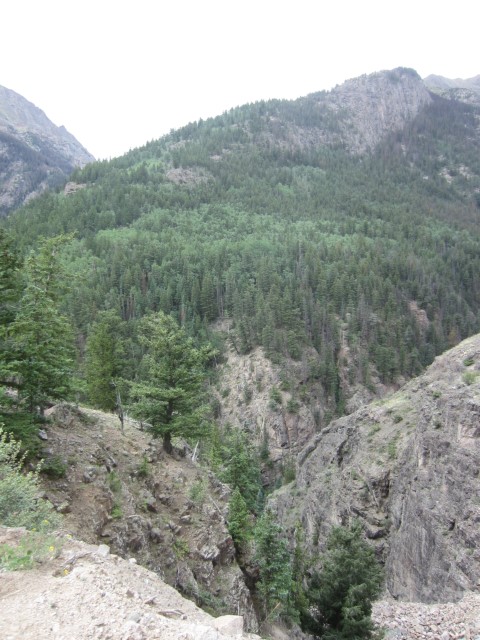 IMG_4386.JPG